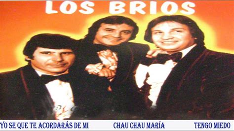 los brios videos